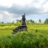 Zdjęcie z Indonezji - W drodze