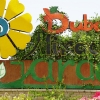 Zdjęcie z Zjednoczonych Emiratów Arabskich - Ogród Cudów.... w Dubaju