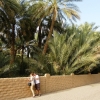 Zdjęcie z Zjednoczonych Emiratów Arabskich - Al-Ain, oaza