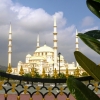 Zdjęcie z Zjednoczonych Emiratów Arabskich - Najnowszy meczet w Fudżarze nie jest wierną kopią