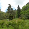 Zdjęcie z Włoch - ogrody boczne - kolejne kilometry... bez konia tu ani rusz:) 