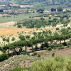 Zdjęcie z Włoch - Agrigento. Dolina Świątyń.