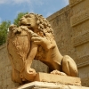 Zdjęcie z Malty - Jeden z lwów przy Mdina Gate