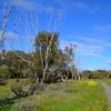 Zdjęcie z Australii - Onkaparinga River National Park