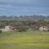 Zdjęcie z Australii - Ruiny Pingle Farm