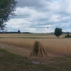 Zdjęcie z Polski - 