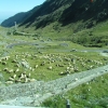 Zdjęcie z Rumunii - Transfăgărășan