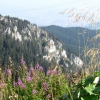 Zdjęcie z Rumunii - Poiana Brasov