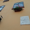 Zdjęcie z Rumunii - Sighișoara