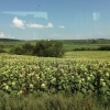 Zdjęcie z Rumunii - Transylwania