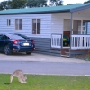 Zdjęcie z Australii - Nasz domek w Parkgate Resort w Halls Gap