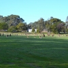 Zdjęcie z Australii - Polana za naszym osrodkiem w Halls Gap