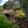 Zdjęcie z Australii - Szlak wzdluz strumienia Christies Creek