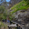 Zdjęcie z Australii - Nad strumieniem Christies Creek