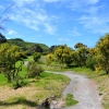 Zdjęcie z Australii - Szlak wzdluz strumienia Christies Creek