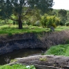 Zdjęcie z Australii - Strumien Christies Creek