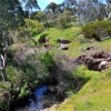 Zdjęcie z Australii - Strumien Christies Creek