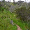 Zdjęcie z Australii - Na szlaku do doliny rzeki Warri Parri