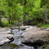 Zdjęcie z Australii - Rzeka Warri Parri czyli Sturt River