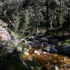 Zdjęcie z Australii - Strumien Stony Creek