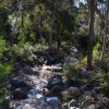 Zdjęcie z Australii - Strumien Stony Creek