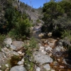 Zdjęcie z Australii - Strumien Stony Creek