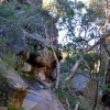 Zdjęcie z Australii - Na szlaku Chatauqua Peak Circuit