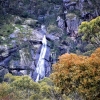 Zdjęcie z Australii - Wodospad Clematis Falls widziany z naszego osrodka