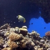 Egipt - Hurghada