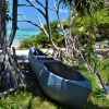 Zdjęcie z Vanuatu - Melanezyjska dlubanka. Brakuje bocznego plywaka