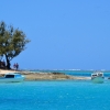 Zdjęcie z Vanuatu - 