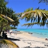 Zdjęcie z Vanuatu - 