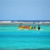 Zdjęcie z Vanuatu - Szafirowo - turkusowy zawrot glowy