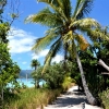 Zdjęcie z Vanuatu - Sciezka wokol wyspy Mystery Island