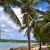 Zdjęcie z Vanuatu - Na nadmorskim pasazu