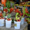Zdjęcie z Vanuatu - Uliczna kwiaciarnia