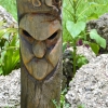 Zdjęcie z Vanuatu - 