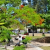 Zdjęcie z Vanuatu - Ulice Vila