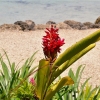 Zdjęcie z Vanuatu - Na nadmorskim deptaku