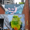 Zdjęcie z Australii - Melbournskie murale