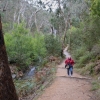 Zdjęcie z Australii - Na szlaku do wodospadu Silverbend Falls