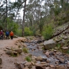 Zdjęcie z Australii - Na szlaku do wodospadu Silverbend Falls