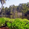 Zdjęcie z Kuby - na terenie Parku Narodowego Cienaga de Zapata