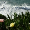 Zdjęcie z Portugalii - Cabo da Roca