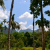 Zdjęcie z Tajlandii - Khao Sok