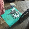 Zdjęcie z Maroka - komu świeżą rybkę