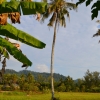 Zdjęcie z Tajlandii - W drodze do Khao Lak