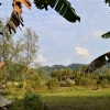 Zdjęcie z Tajlandii - Przedmiescia Khao Lak