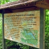 Zdjęcie z Polski - 