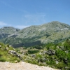 Zdjęcie z Czarnogóry - PN Lovcen